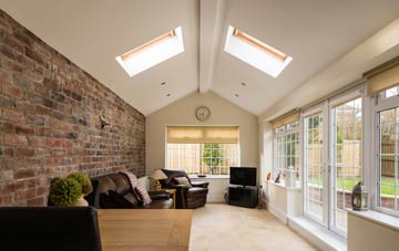 conservatory roof insulation Nalderswood, Surrey