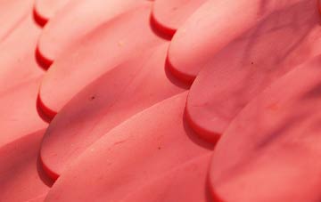 Nalderswood plastic roof costs