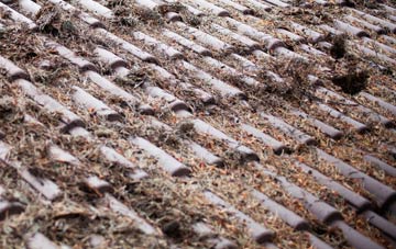 Nalderswood roof cleaning companies